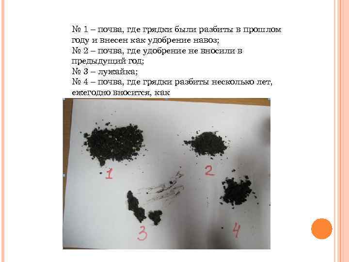 № 1 – почва, где грядки были разбиты в прошлом году и внесен как