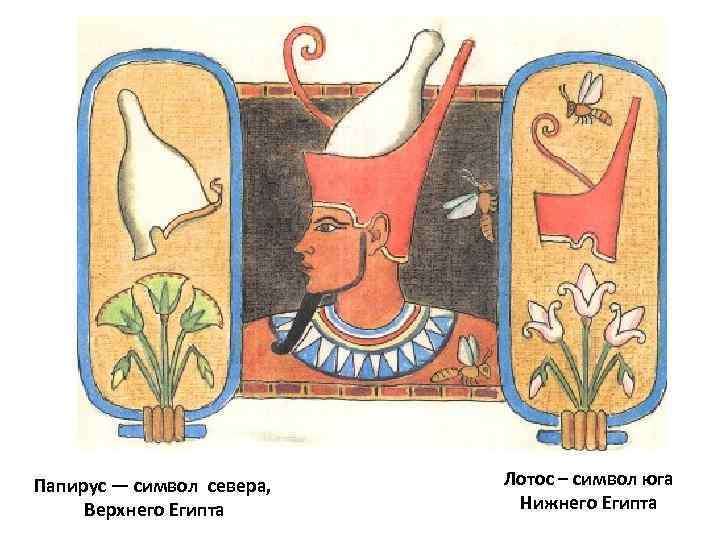 Папирус — символ севера, Верхнего Египта Лотос – символ юга Нижнего Египта 