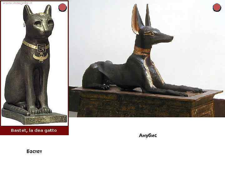 Анубис Бастет 