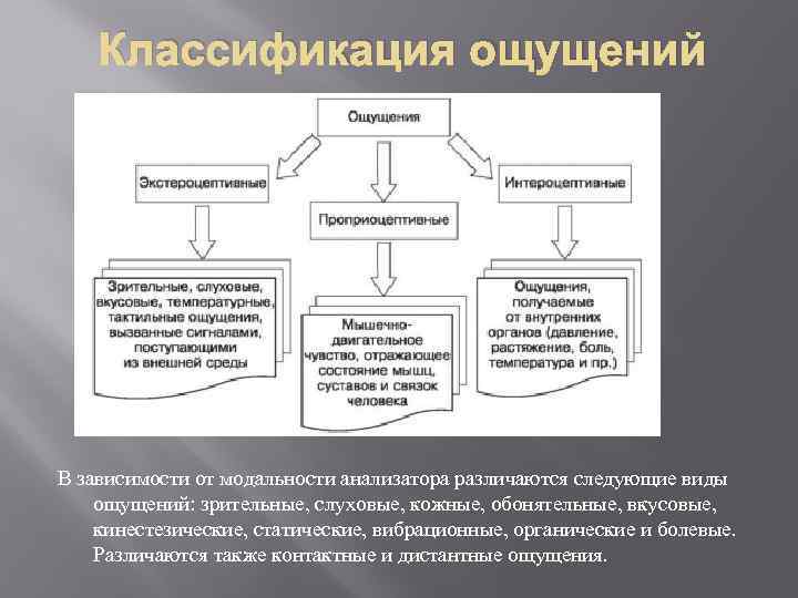 Классификация ощущений В зависимости от модальности анализатора различаются следующие виды ощущений: зрительные, слуховые, кожные,