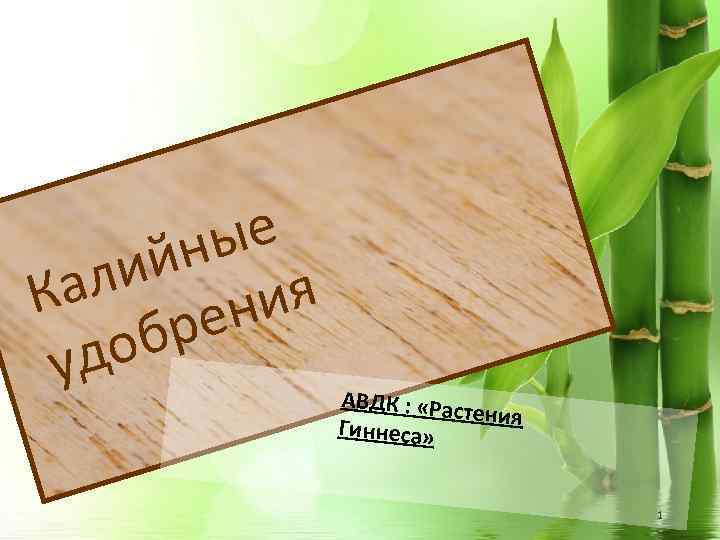 ые йн ли Ка ия ен бр до у АВДК : «Рас тения Гиннеса»