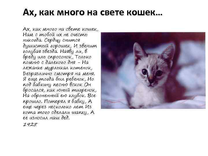 Ах, как много на свете кошек… Ах, как много на свете кошек, Нам с