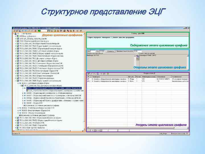 Структурное представление ЭЦГ 