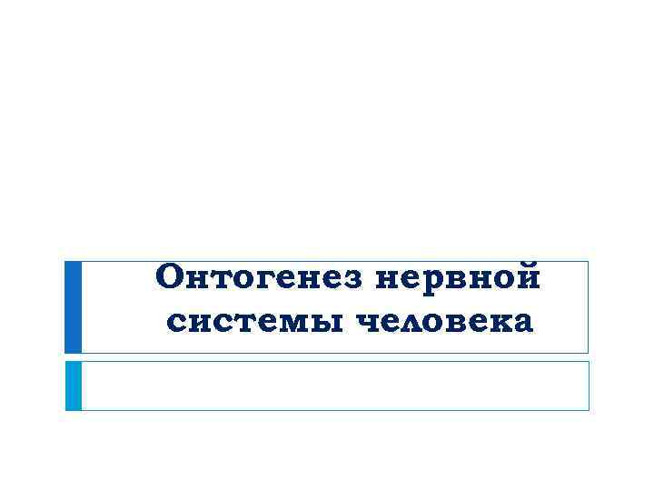 Онтогенез нервной системы человека 
