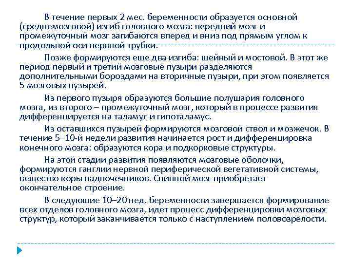 В течение первых 2 мес. беременности образуется основной (среднемозговой) изгиб головного мозга: передний мозг