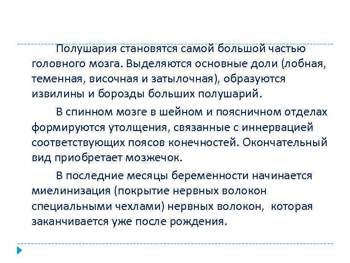 Полушария становятся самой большой частью головного мозга. Выделяются основные доли (лобная, теменная, височная и