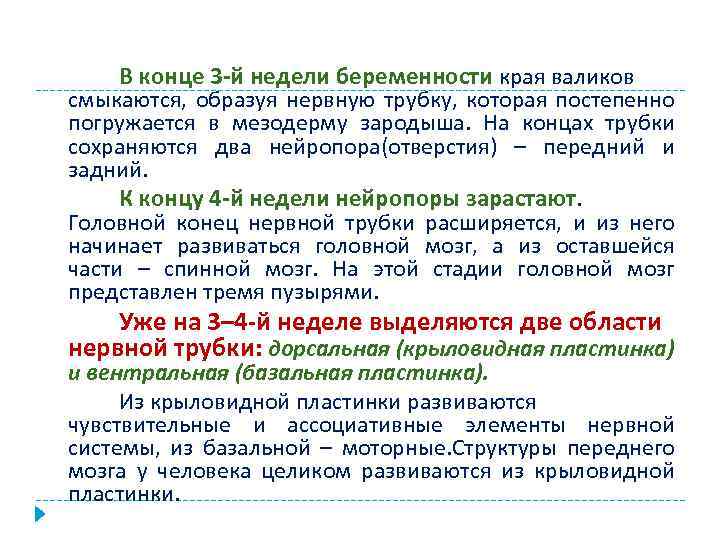 В конце 3 -й недели беременности края валиков смыкаются, образуя нервную трубку, которая постепенно