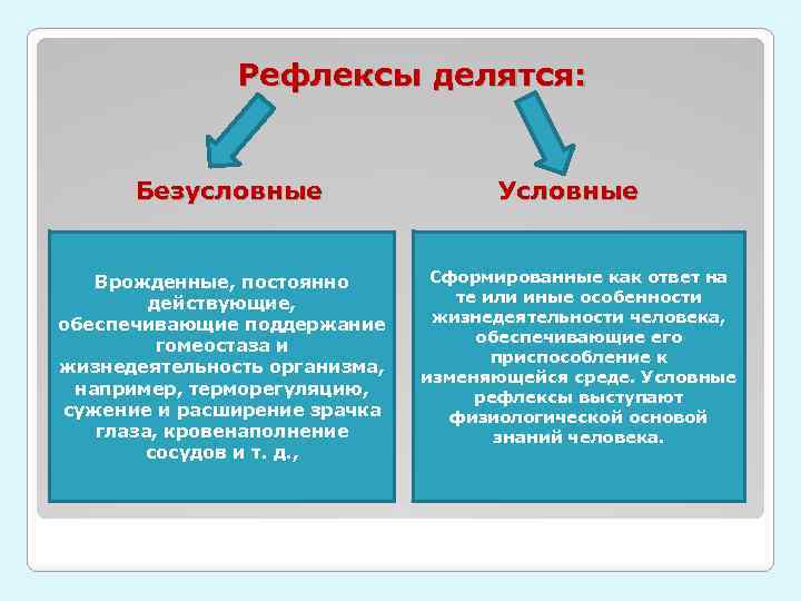  Рефлексы делятся: Безусловные Условные Врожденные, постоянно действующие, обеспечивающие поддержание гомеостаза и жизнедеятельность организма,