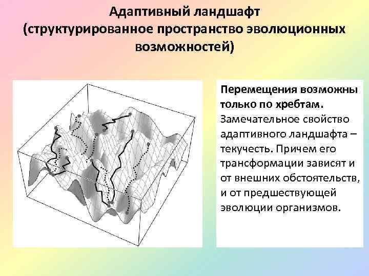 Адаптивный ландшафт (структурированное пространство эволюционных возможностей) Перемещения возможны только по хребтам. Замечательное свойство адаптивного