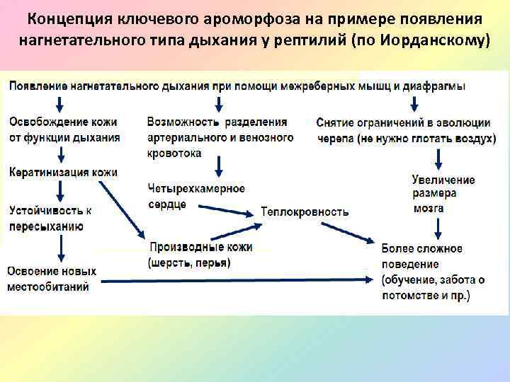 Примеры появления