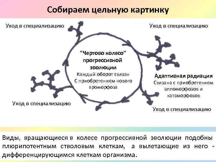 Собираем цельную картинку Уход в специализацию 