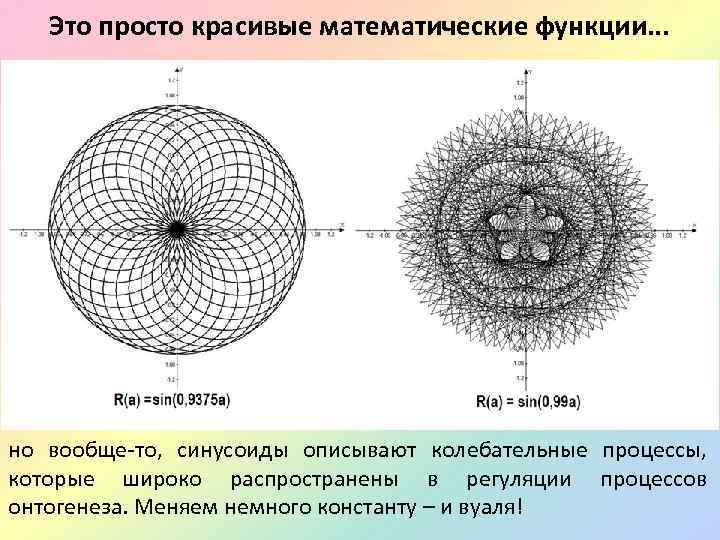 Это просто красивые математические функции. . . но вообще-то, синусоиды описывают колебательные процессы, которые