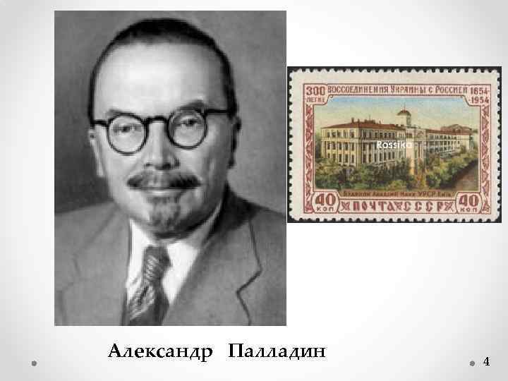 Александр Палладин 4 