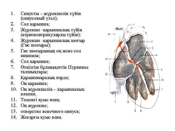 1. 2. 3. 4. 5. 6. 7. 8. 9. 10. 11. 12. 13. 14.