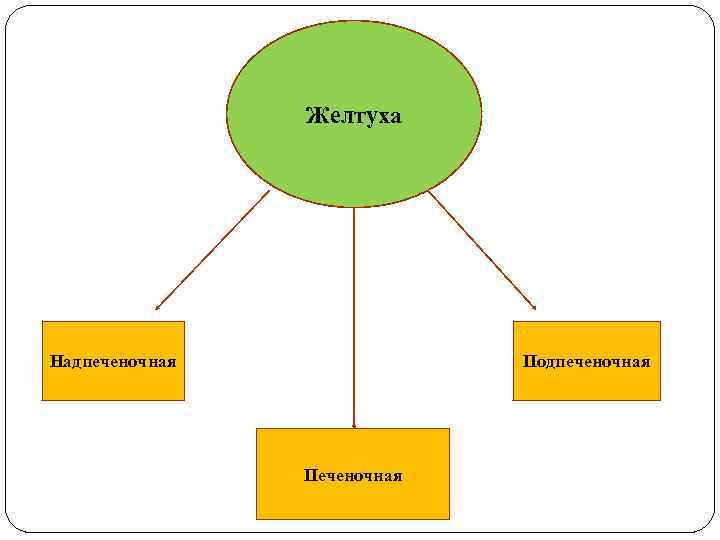 Желтуха Надпеченочная Подпеченочная Печеночная 