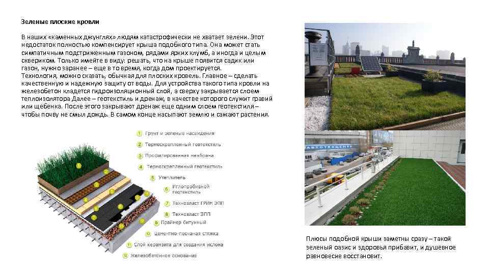 Зеленые плоские кровли В наших «каменных джунглях» людям катастрофически не хватает зелени. Этот недостаток