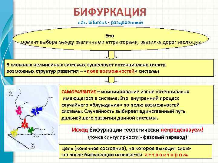 БИФУРКАЦИЯ лат. bifurcus - раздвоенный Это момент выбора между различными аттракторами, развилка дорог эволюции