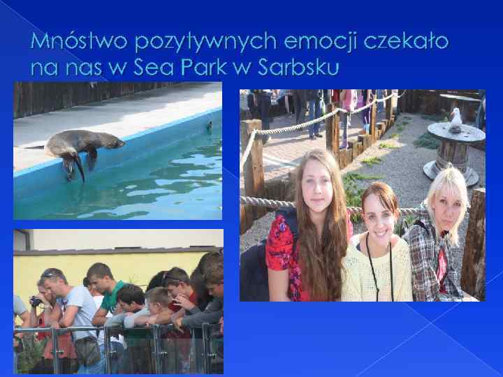 Mnóstwo pozytywnych emocji czekało na nas w Sea Park w Sarbsku 