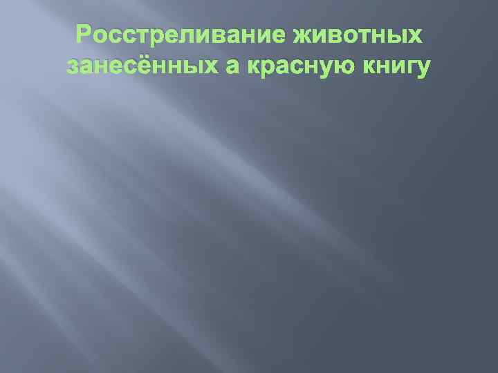 Росстреливание животных занесённых а красную книгу 