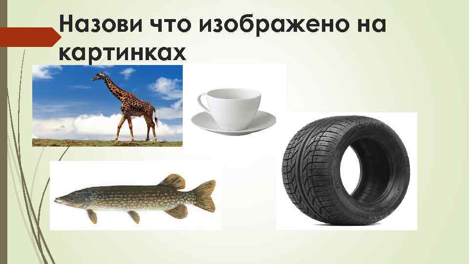 Назови что изображено на картинках 