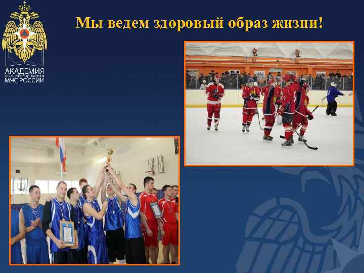 Мы ведем здоровый образ жизни! 