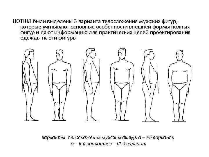 Типы мужских фигур картинки