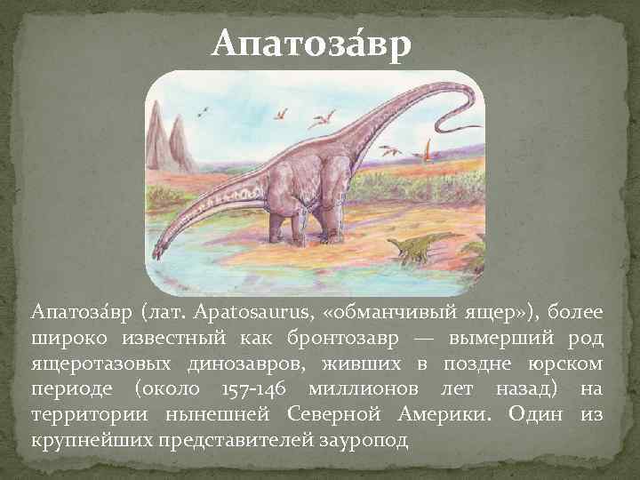 Апатоза вр (лат. Apatosaurus, «обманчивый ящер» ), более широко известный как бронтозавр — вымерший