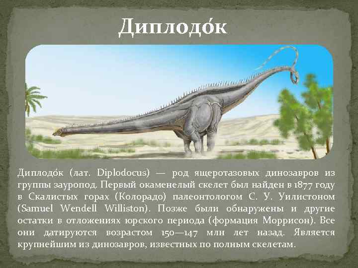 Диплодо к (лат. Diplodocus) — род ящеротазовых динозавров из группы зауропод. Первый окаменелый скелет