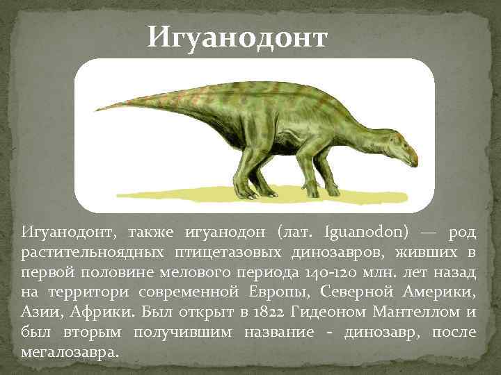 Игуанодонт, также игуанодон (лат. Iguanodon) — род растительноядных птицетазовых динозавров, живших в первой половине