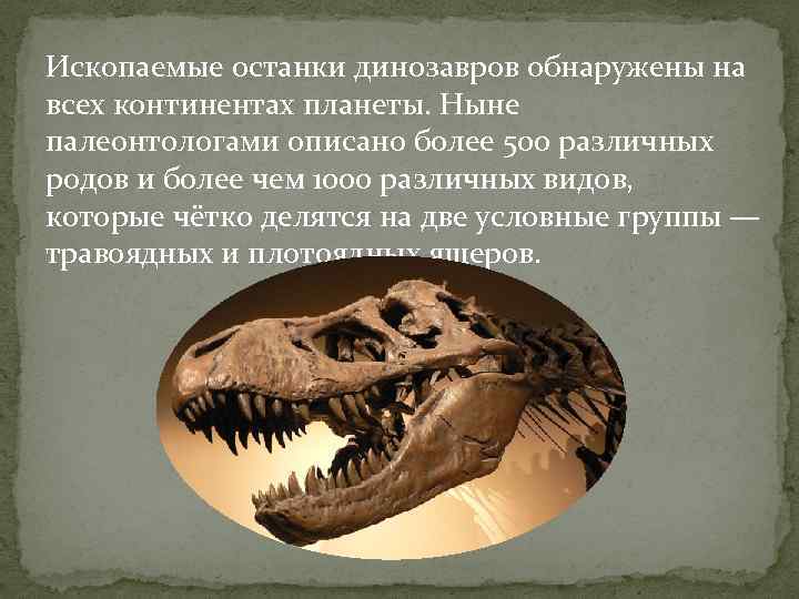 Ископаемые останки динозавров обнаружены на всех континентах планеты. Ныне палеонтологами описано более 500 различных