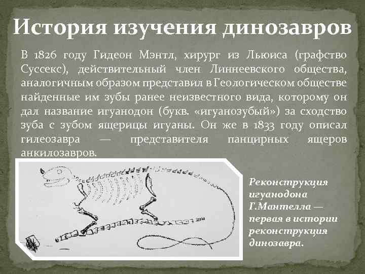 История изучения динозавров В 1826 году Гидеон Мэнтл, хирург из Льюиса (графство Суссекс), действительный