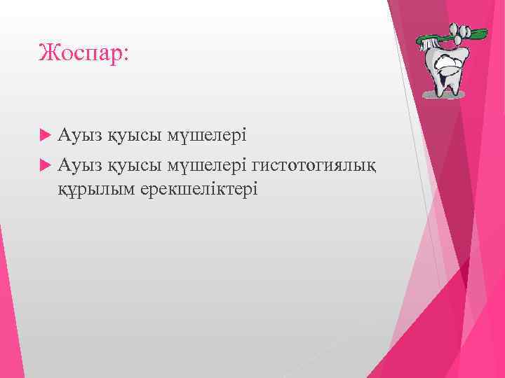 Жоспар: Ауыз қуысы мүшелері гистотогиялық құрылым ерекшеліктері 