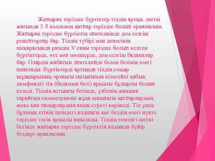 Жапырақ тәріздес бүртіктер тілдің артқы, шеткі жағында 3 -8 көлденең қатпар тәріздес болып орналасқан.