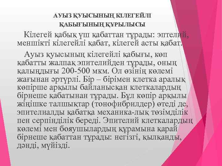 АУЫЗ ҚУЫСЫНЫҢ КІЛЕГЕЙЛІ ҚАБЫҒЫНЫҢ ҚҰРЫЛЫСЫ Кілегей қабық үш қабаттан тұрады: эптелий, меншікті кілегейлі қабат,