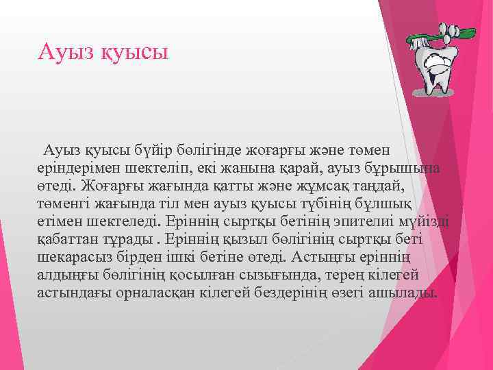 Ауыз қуысы Ауыз қуысы бүйір бөлігінде жоғарғы және төмен еріндерімен шектеліп, екі жанына қарай,