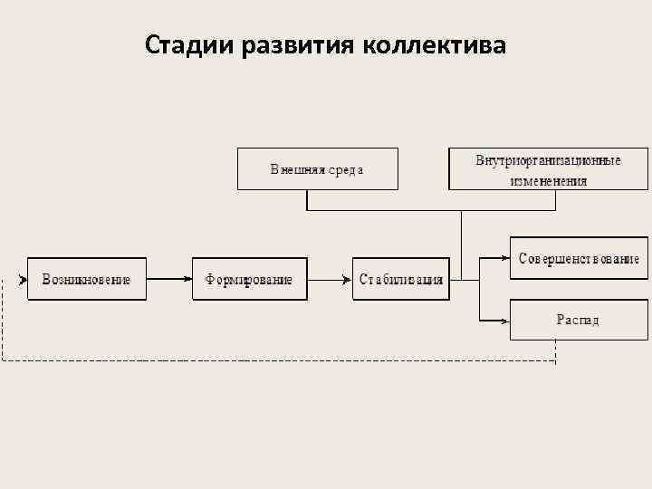 Стадии развития коллектива 