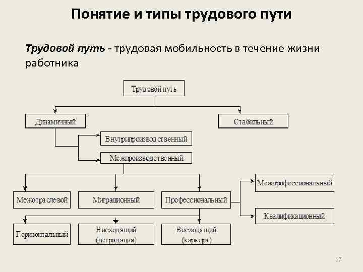 Понятие и типы трудового пути Трудовой путь - трудовая мобильность в течение жизни работника