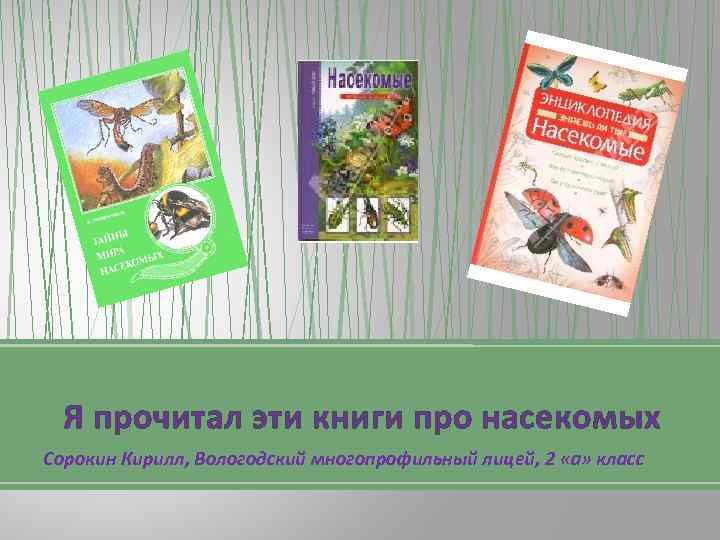 Я прочитал эти книги про насекомых Сорокин Кирилл, Вологодский многопрофильный лицей, 2 «а» класс