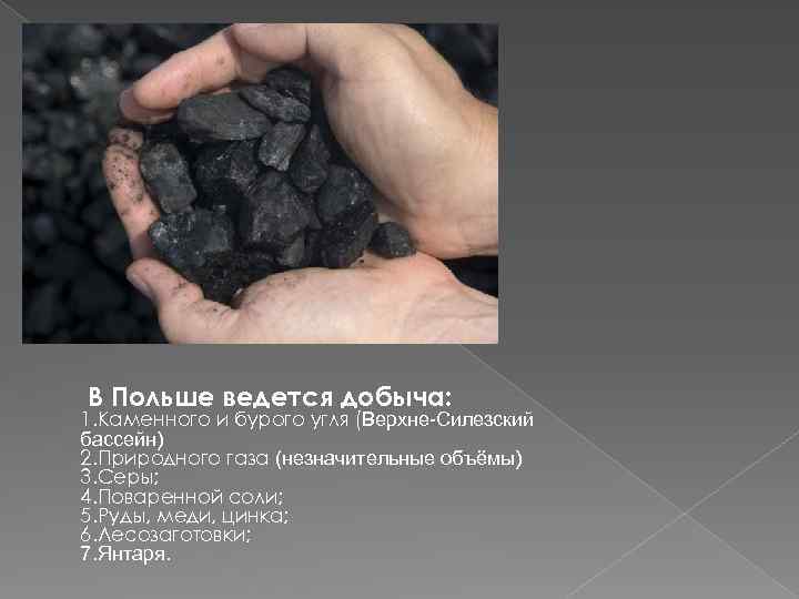 В Польше ведется добыча: 1. Каменного и бурого угля (Верхне-Силезский бассейн) 2. Природного газа