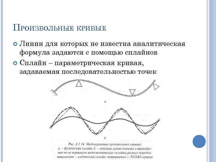 ПРОИЗВОЛЬНЫЕ КРИВЫЕ Линии для которых не известна аналитическая формула задаются с помощью сплайнов Сплайн