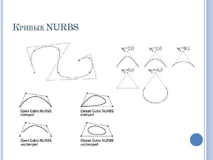 КРИВЫЕ NURBS 