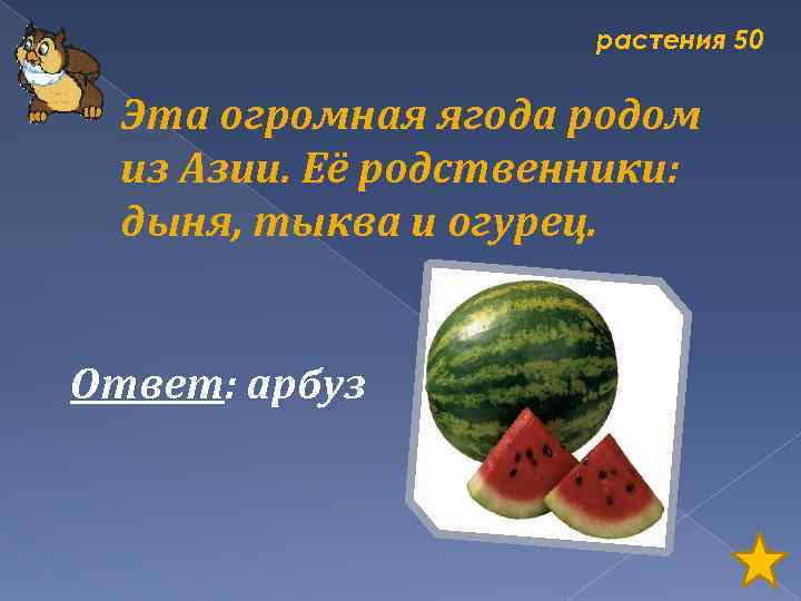растения 50 Эта огромная ягода родом из Азии. Её родственники: дыня, тыква и огурец.