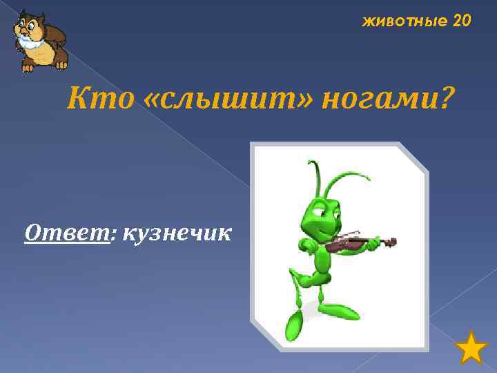 животные 20 Кто «слышит» ногами? Ответ: кузнечик 