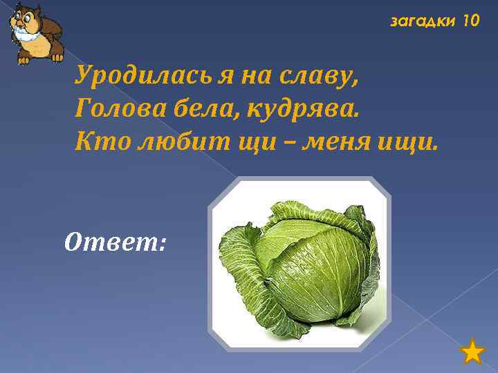 загадки 10 Уродилась я на славу, Голова бела, кудрява. Кто любит щи – меня