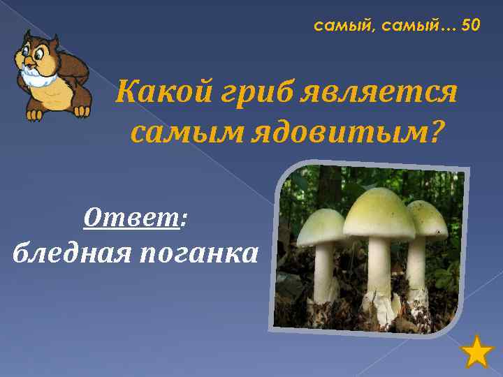 самый, самый… 50 Какой гриб является самым ядовитым? Ответ: бледная поганка 