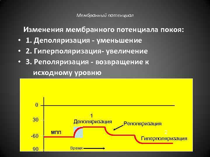 Мембранный потенциал Изменения мембранного потенциала покоя: • 1. Деполяризация - уменьшение • 2. Гиперполяризация-