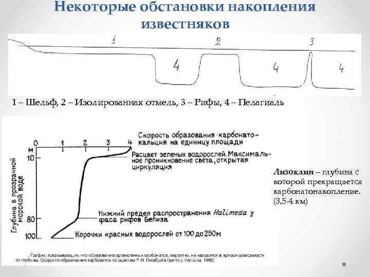 Некоторые обстановки накопления известняков 1 – Шельф, 2 – Изолированная отмель, 3 – Рифы,