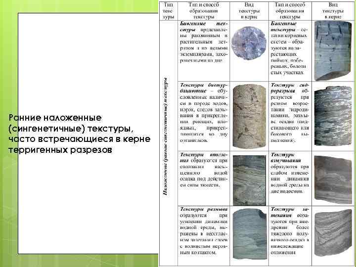Ранние наложенные (сингенетичные) текстуры, часто встречающиеся в керне терригенных разрезов 