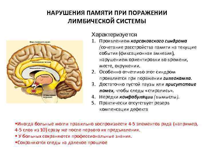 Резкое обострение памяти а также увеличение объема и прочности запоминания это