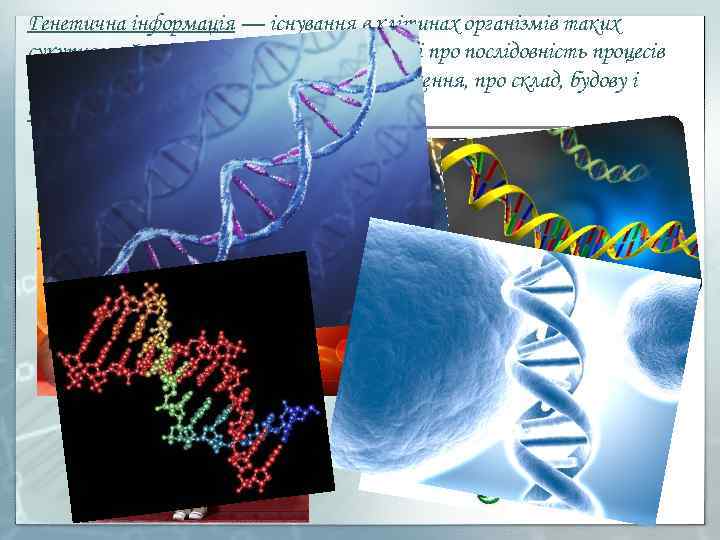 Генетична інформація — існування в клітинах організмів таких сукупностей генів, які зберігають відомості про